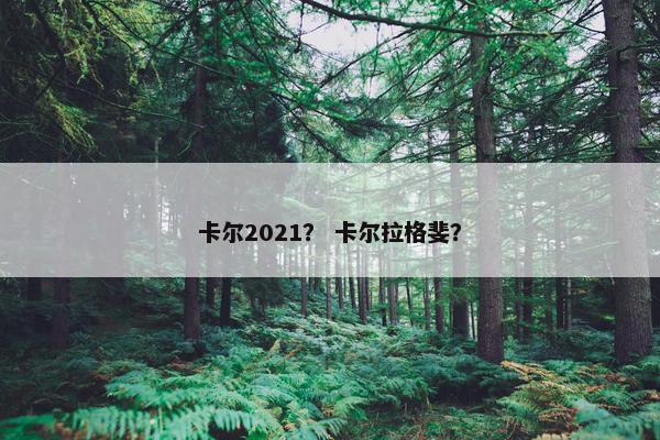 卡尔2021？ 卡尔拉格斐？