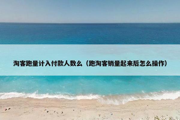 淘客跑量计入付款人数么（跑淘客销量起来后怎么操作）
