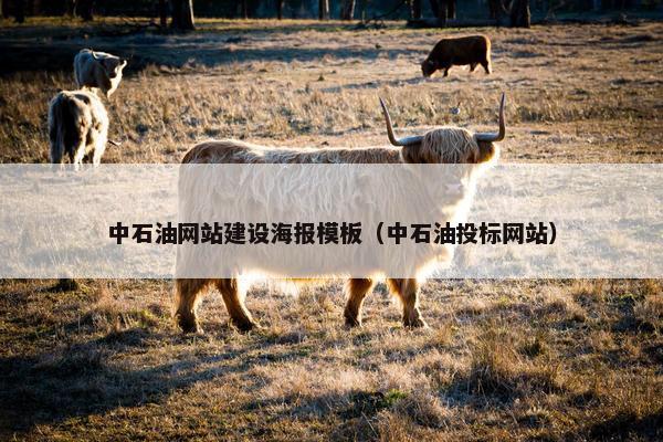 中石油网站建设海报模板(中石油投标网站) 中石油网站建设海报模板(中石油投标网站)