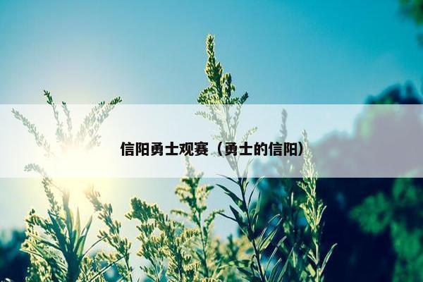 信阳勇士观赛（勇士的信阳）