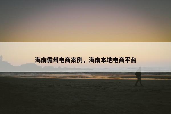 海南儋州电商案例，海南本地电商平台