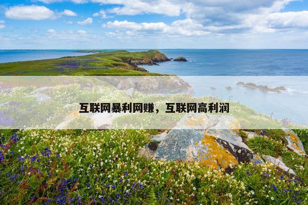 互联网暴利网赚，互联网高利润