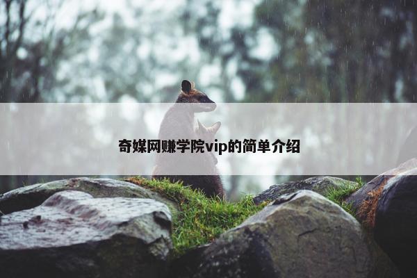 奇媒网赚学院vip的简单介绍