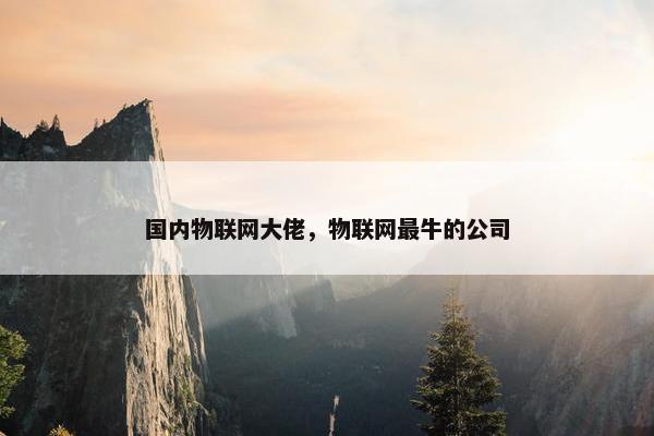 国内物联网大佬，物联网最牛的公司