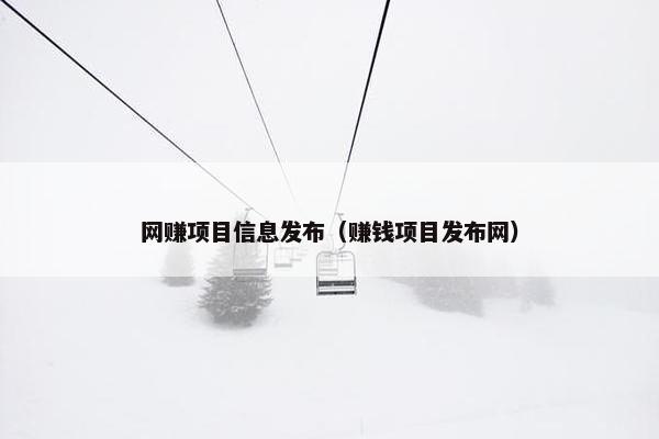 网赚项目信息发布（赚钱项目发布网）