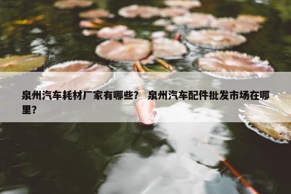 泉州汽车耗材厂家有哪些？ 泉州汽车配件批发市场在哪里？