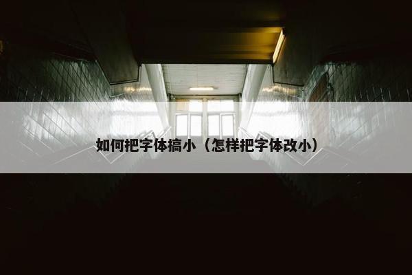 如何把字体搞小（怎样把字体改小）