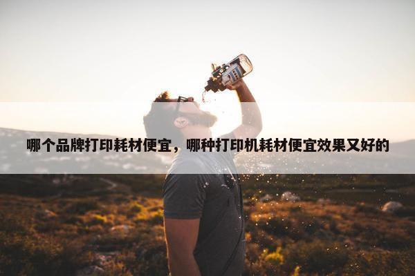哪个品牌打印耗材便宜，哪种打印机耗材便宜效果又好的