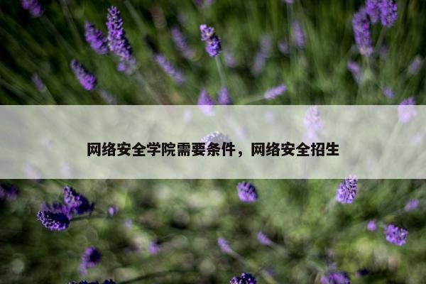 网络安全学院需要条件，网络安全招生