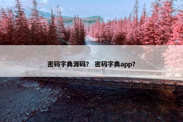 密码字典源码？ 密码字典app？