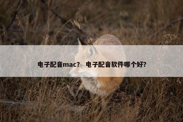 电子配音mac？ 电子配音软件哪个好？