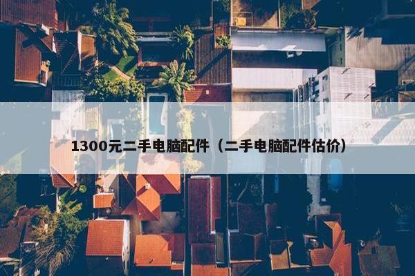 1300元二手电脑配件（二手电脑配件估价）
