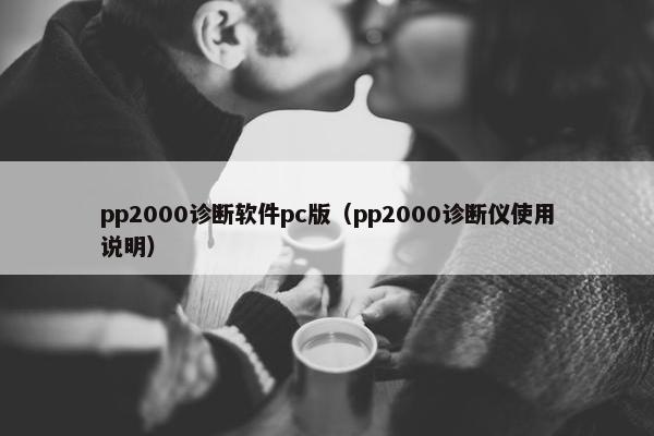 pp2000诊断软件pc版（pp2000诊断仪使用说明）