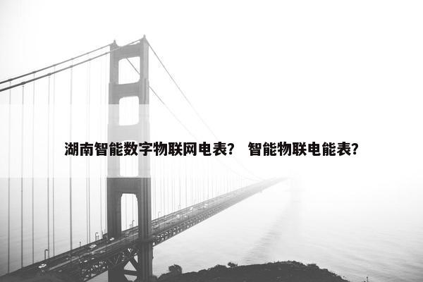 湖南智能数字物联网电表？ 智能物联电能表？