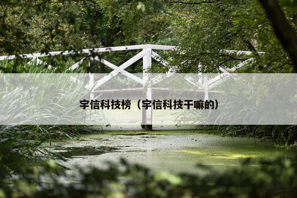 宇信科技榜（宇信科技干嘛的）