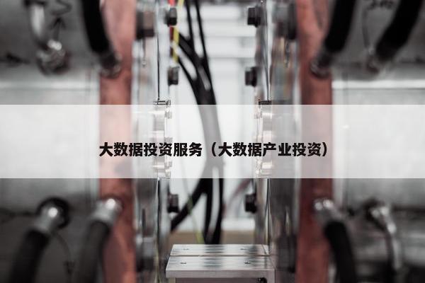 大数据投资服务（大数据产业投资）