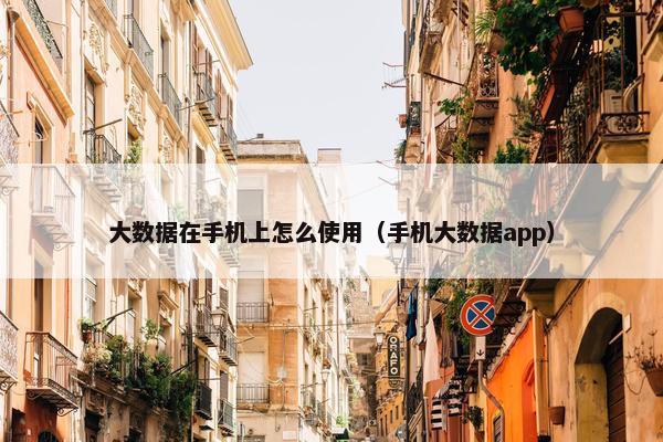 大数据在手机上怎么使用（手机大数据app）