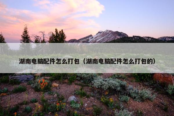 湖南电脑配件怎么打包（湖南电脑配件怎么打包的）