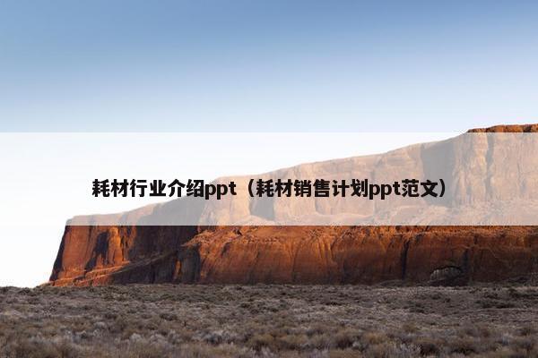耗材行业介绍ppt（耗材销售计划ppt范文）