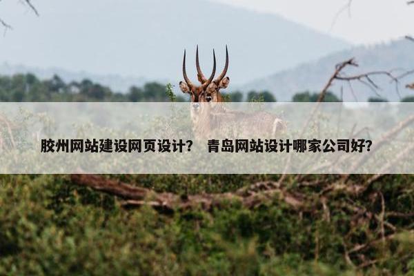胶州网站建设网页设计？ 青岛网站设计哪家公司好？