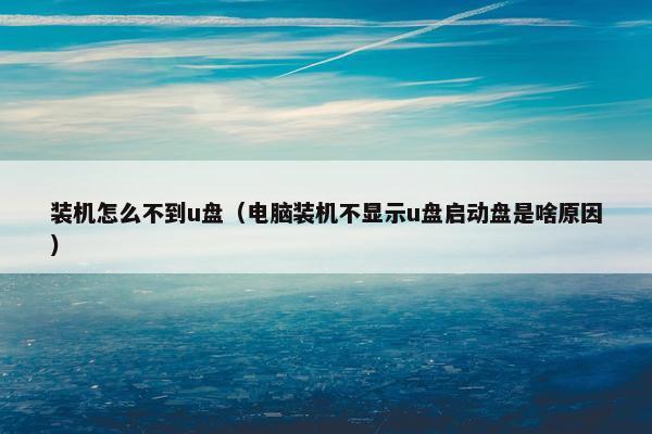 装机怎么不到u盘（电脑装机不显示u盘启动盘是啥原因）