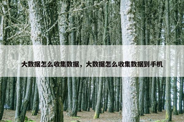 大数据怎么收集数据，大数据怎么收集数据到手机