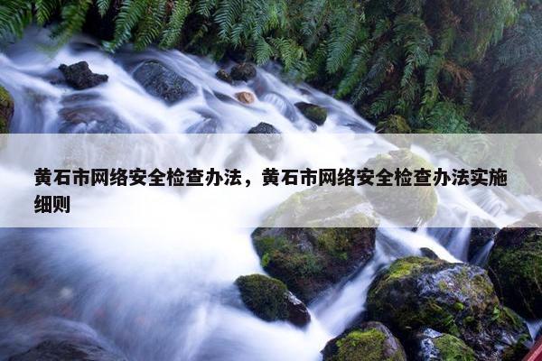 黄石市网络安全检查办法，黄石市网络安全检查办法实施细则