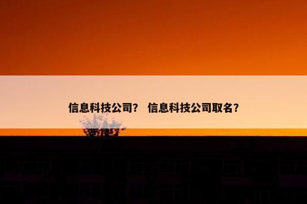 信息科技公司？ 信息科技公司取名？