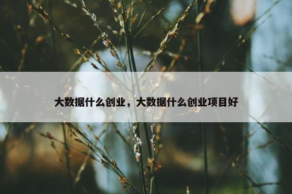 大数据什么创业，大数据什么创业项目好