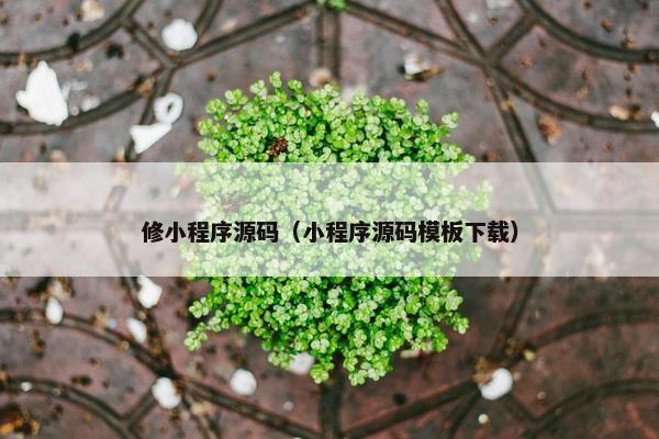 修小程序源码（小程序源码模板下载）