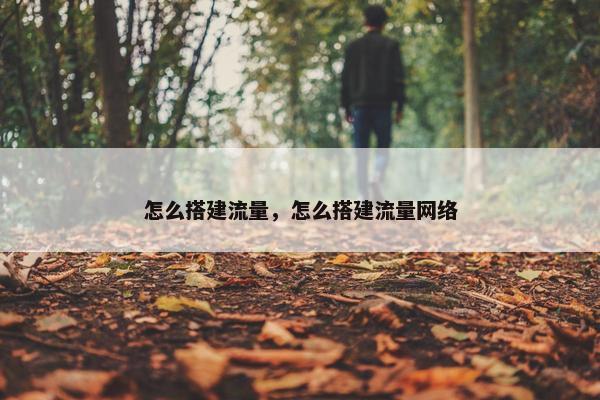 怎么搭建流量，怎么搭建流量网络