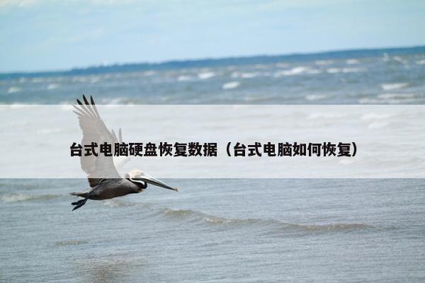台式电脑硬盘恢复数据（台式电脑如何恢复）
