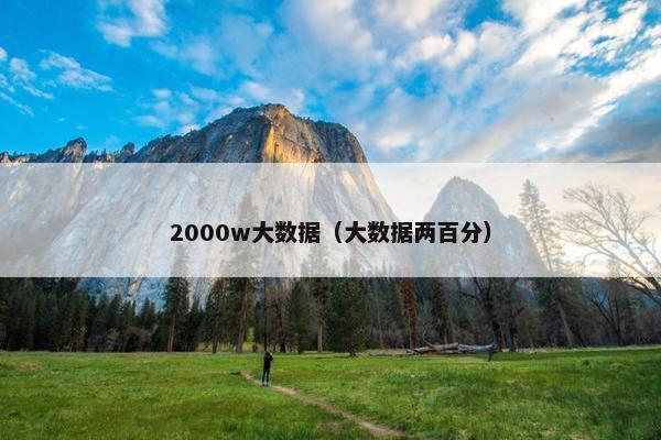 2000w大数据（大数据两百分）