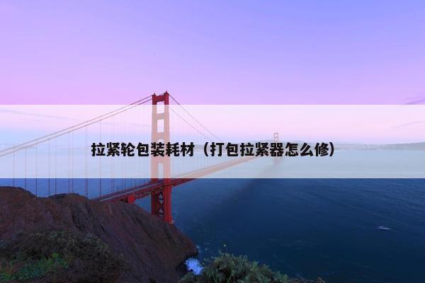 拉紧轮包装耗材（打包拉紧器怎么修）