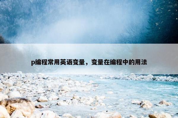 p编程常用英语变量，变量在编程中的用法