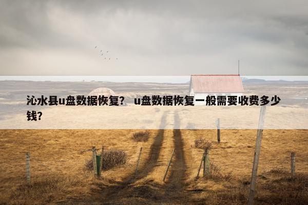 沁水县u盘数据恢复？ u盘数据恢复一般需要收费多少钱？