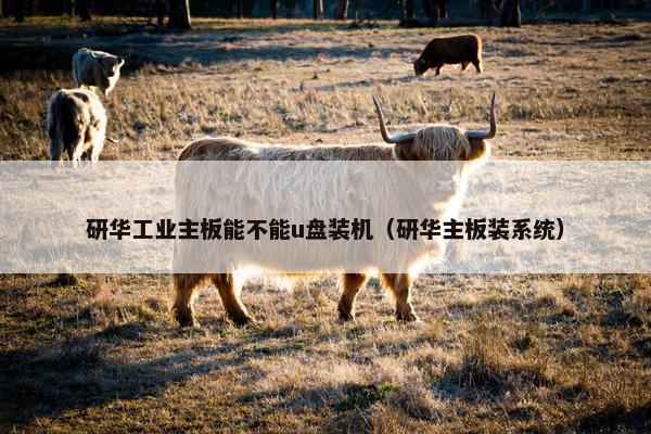 研华工业主板能不能u盘装机（研华主板装系统）