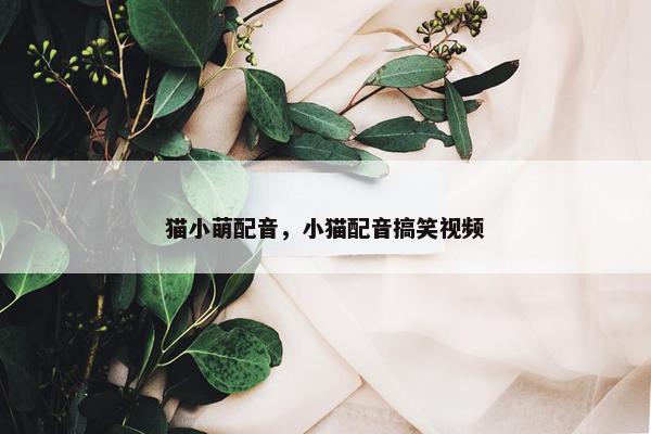 猫小萌配音，小猫配音搞笑视频