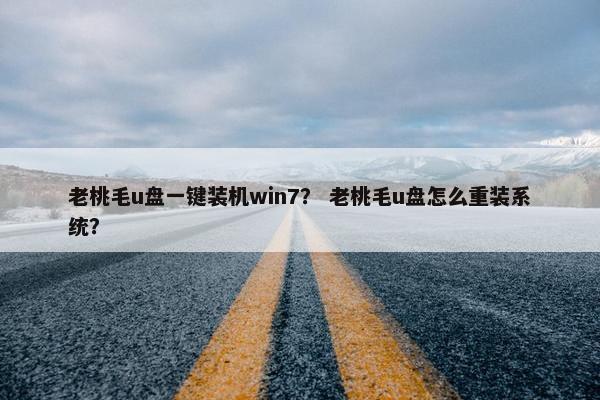 老桃毛u盘一键装机win7？ 老桃毛u盘怎么重装系统？