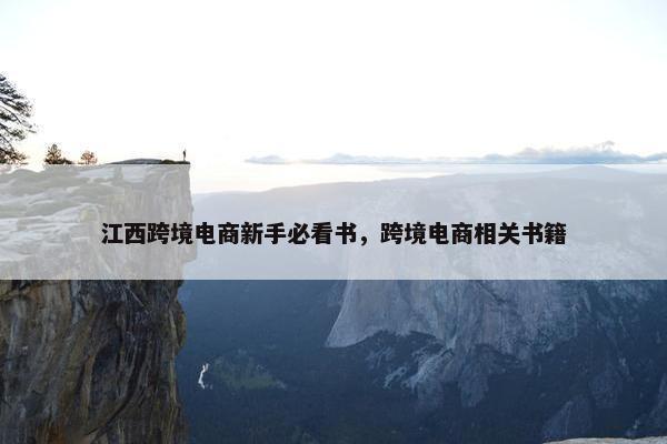 江西跨境电商新手必看书，跨境电商相关书籍