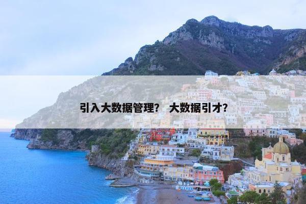 引入大数据管理？ 大数据引才？