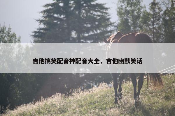 吉他搞笑配音神配音大全，吉他幽默笑话