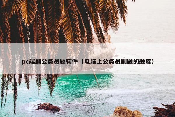 pc端刷公务员题软件（电脑上公务员刷题的题库）
