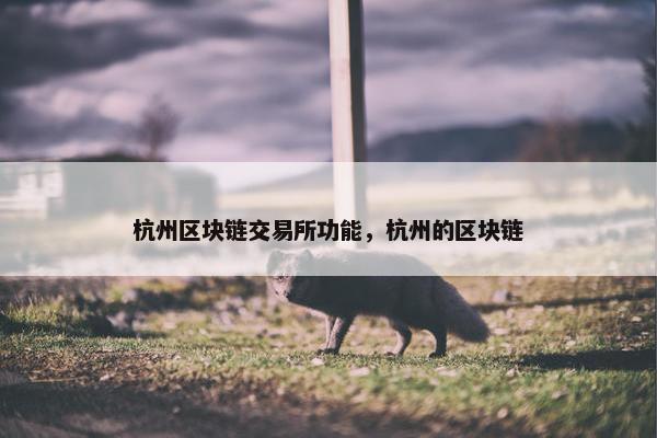 杭州区块链交易所功能，杭州的区块链