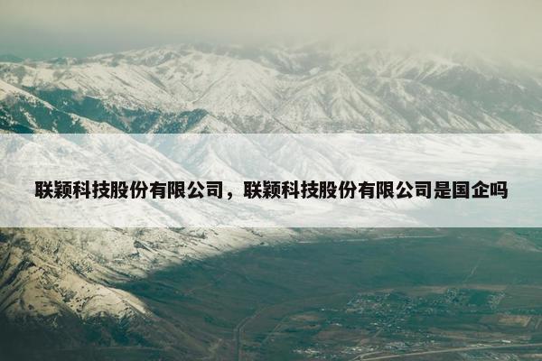 联颖科技股份有限公司，联颖科技股份有限公司是国企吗