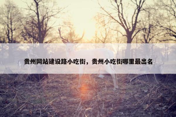 贵州网站建设路小吃街，贵州小吃街哪里最出名