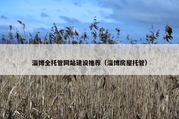 淄博全托管网站建设推荐（淄博房屋托管）