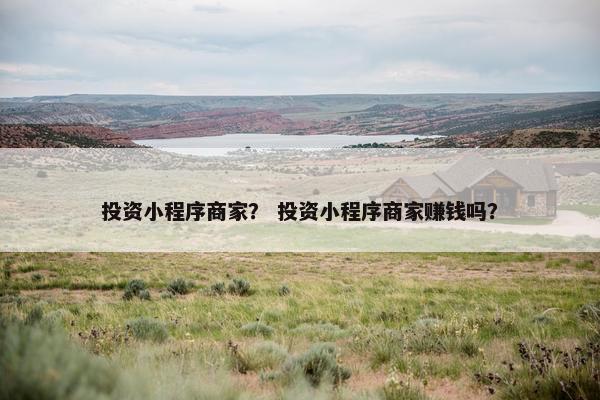 投资小程序商家？ 投资小程序商家赚钱吗？
