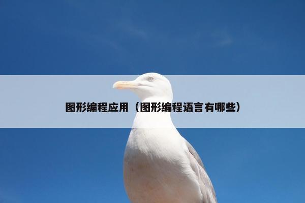 图形编程应用（图形编程语言有哪些）