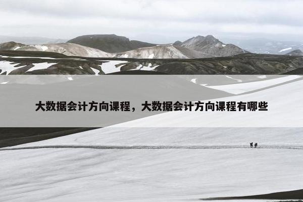 大数据会计方向课程，大数据会计方向课程有哪些